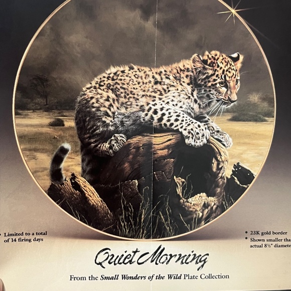 Quiet Morning by Charles Fracé  Small Wonders of the Wild Plate # 4191 B Leopard - Picture 6 of 14